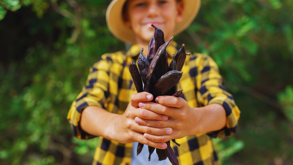 Mains tenant des gousses de caroube fraîches dans un cadre extérieur naturel