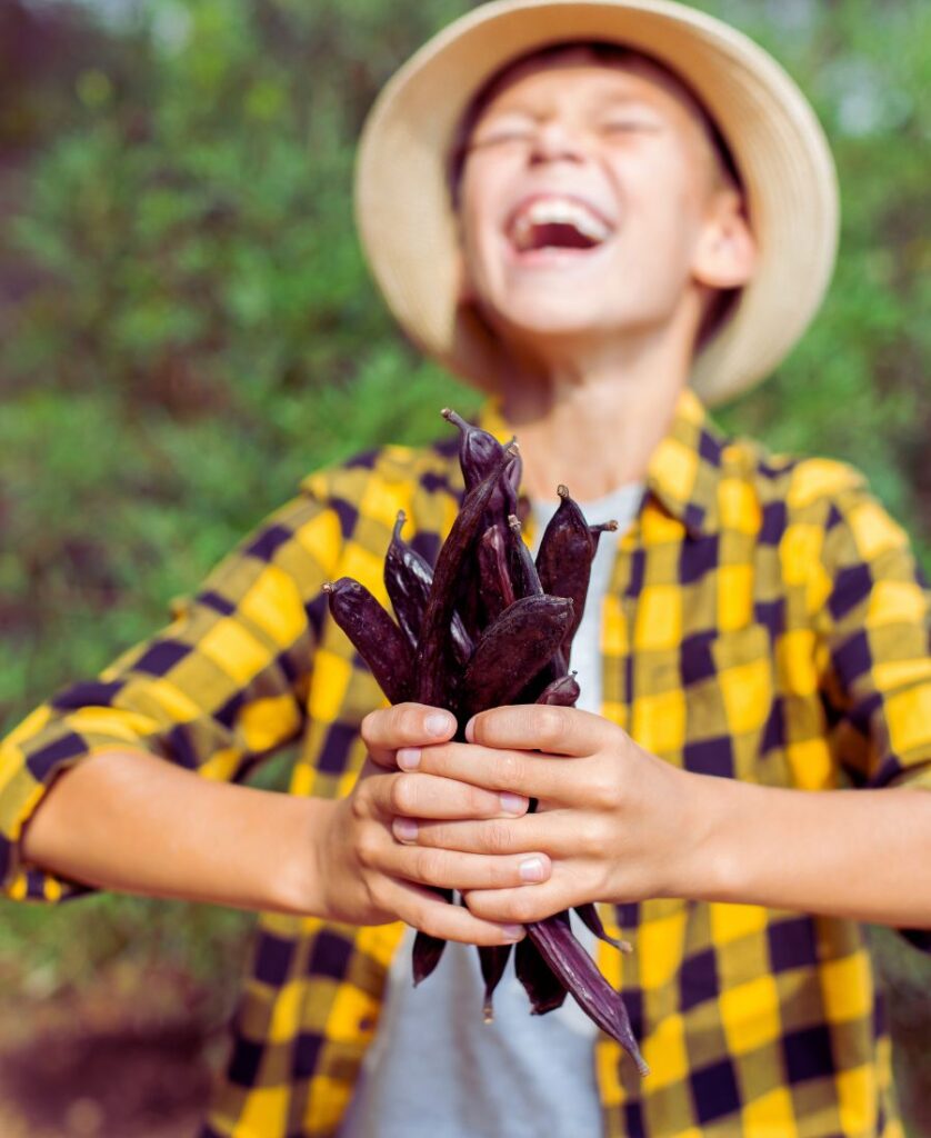 alfarrobas nas mãos de uma criança na natureza
